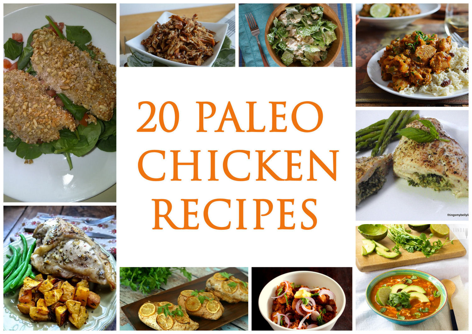 Best Paleo Dinner Recipes
 20 Paleo Chicken Recipes Paleo Zone Recipes