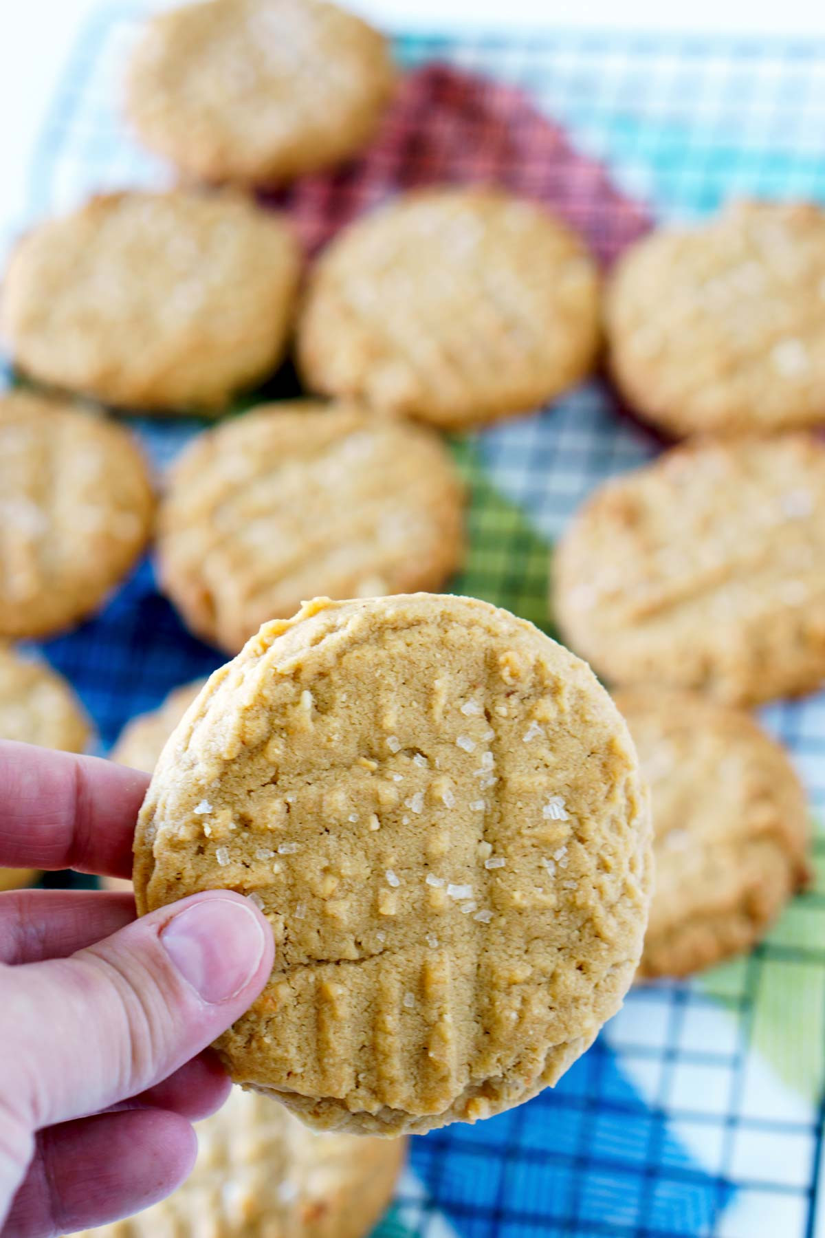 Best Peanut Butter Cookies
 Best Peanut Butter Cookies with Chocolate Drizzle • Food