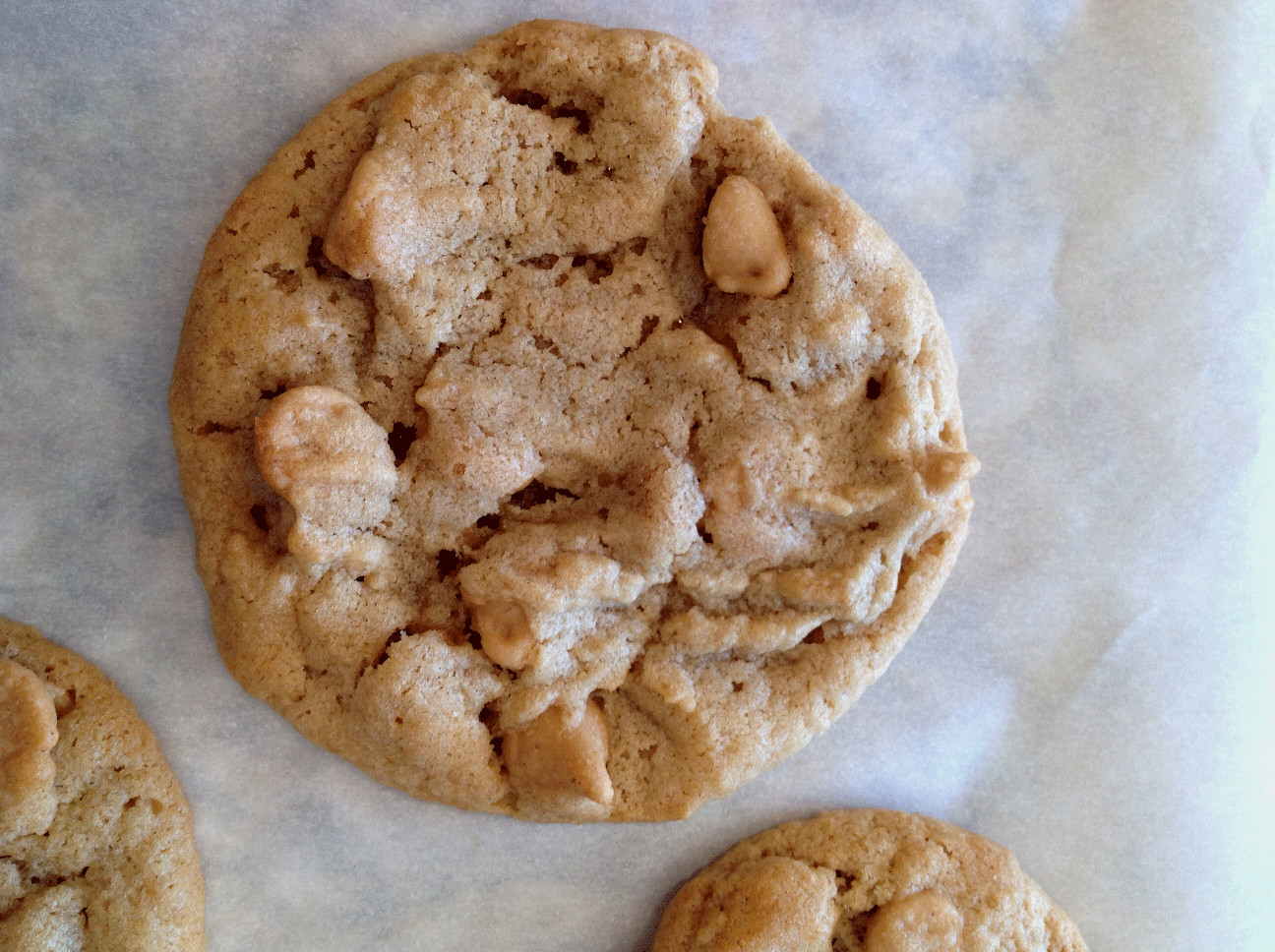 Best Peanut Butter Cookies
 Best Peanut Butter Cookies Ever Recipe — Dishmaps