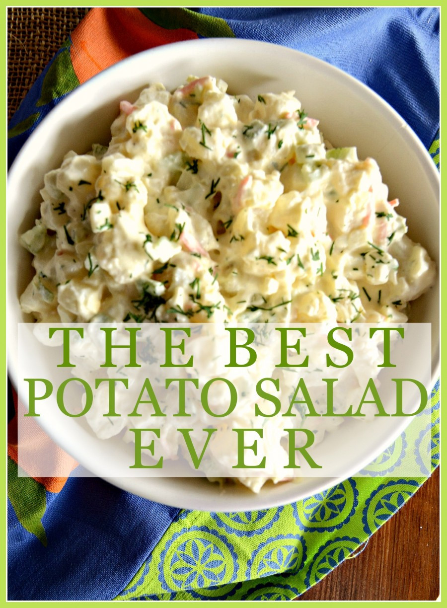 Best Potato For Potato Salad
 THE BEST POTATO SALAD EVER NO KIDDING StoneGable