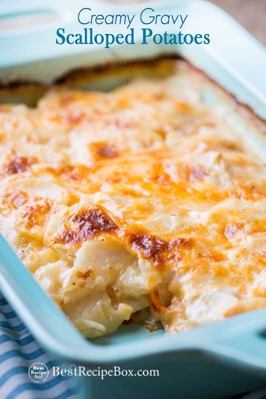 Best Scalloped Potatoes Recipe
 Creamy Gravy Scalloped Potatoes Recipe