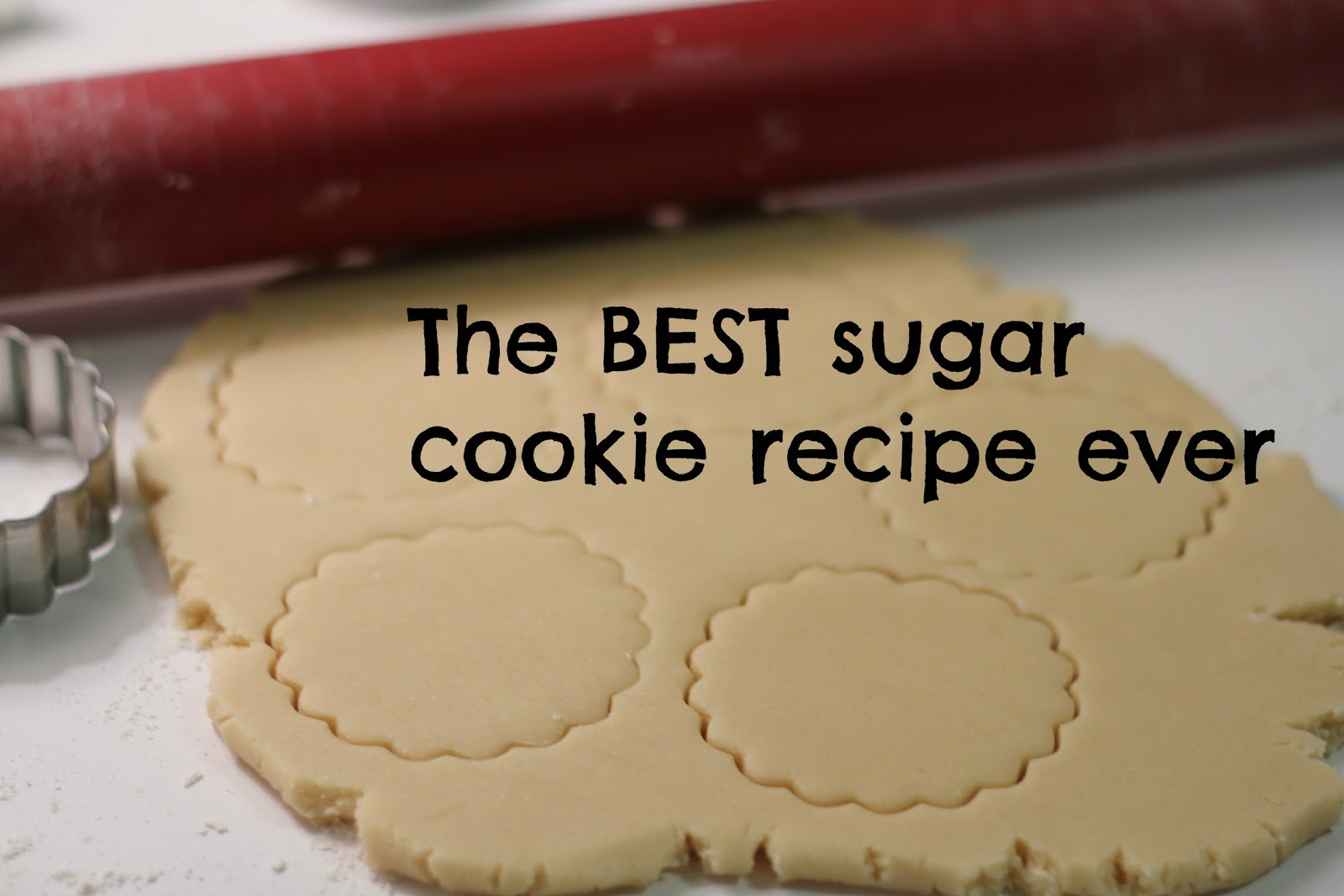 Best Sugar Cookies Recipe
 Crafty Cookies The BEST Sugar Cookie Recipe Ever