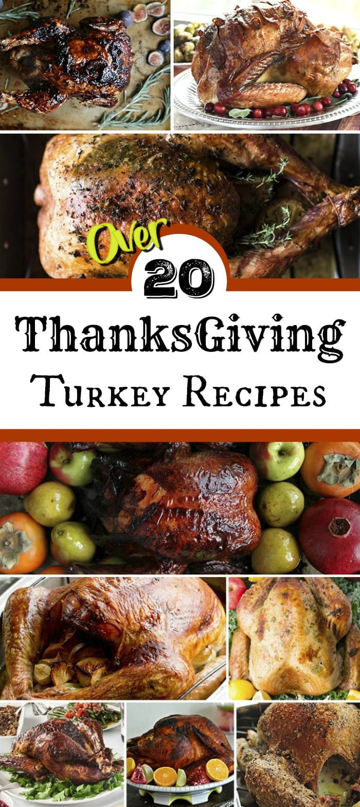 Best Thanksgiving Turkey Recipe Ever
 Thanksgiving Turkey Recipes for the Best Thanksgiving