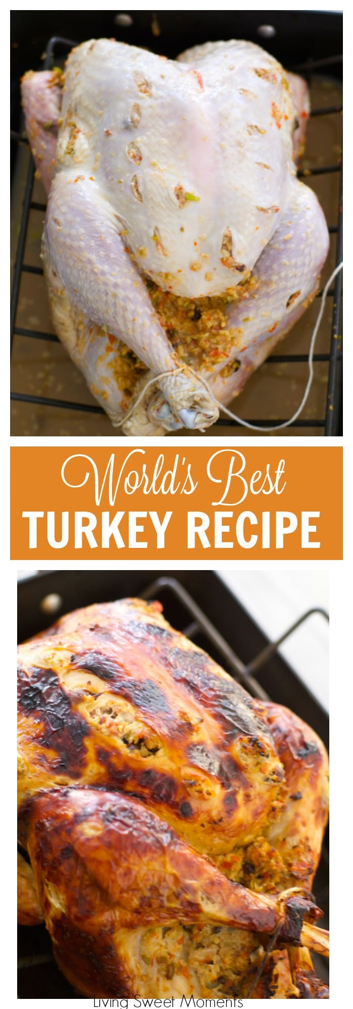 Best Thanksgiving Turkey Recipe Ever
 The World s Best Turkey Recipe A Tutorial Living Sweet