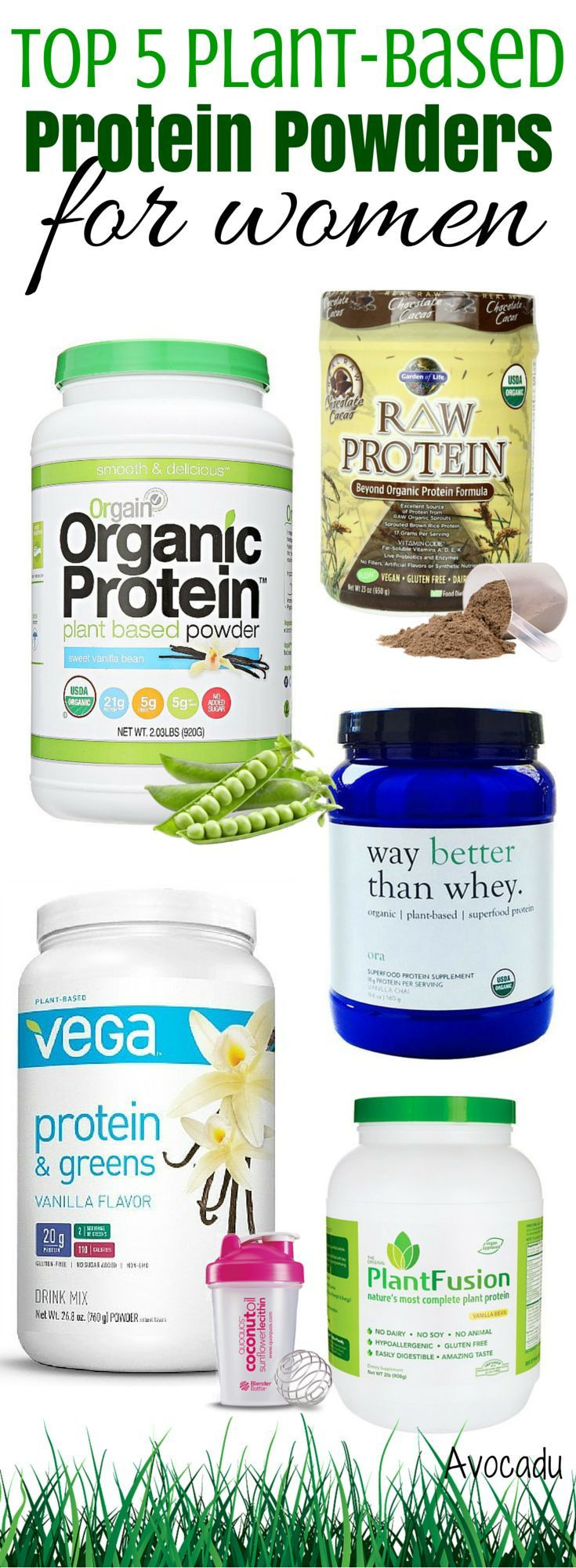 Best Vegetarian Protein Powder
 best organic plant based protein powder