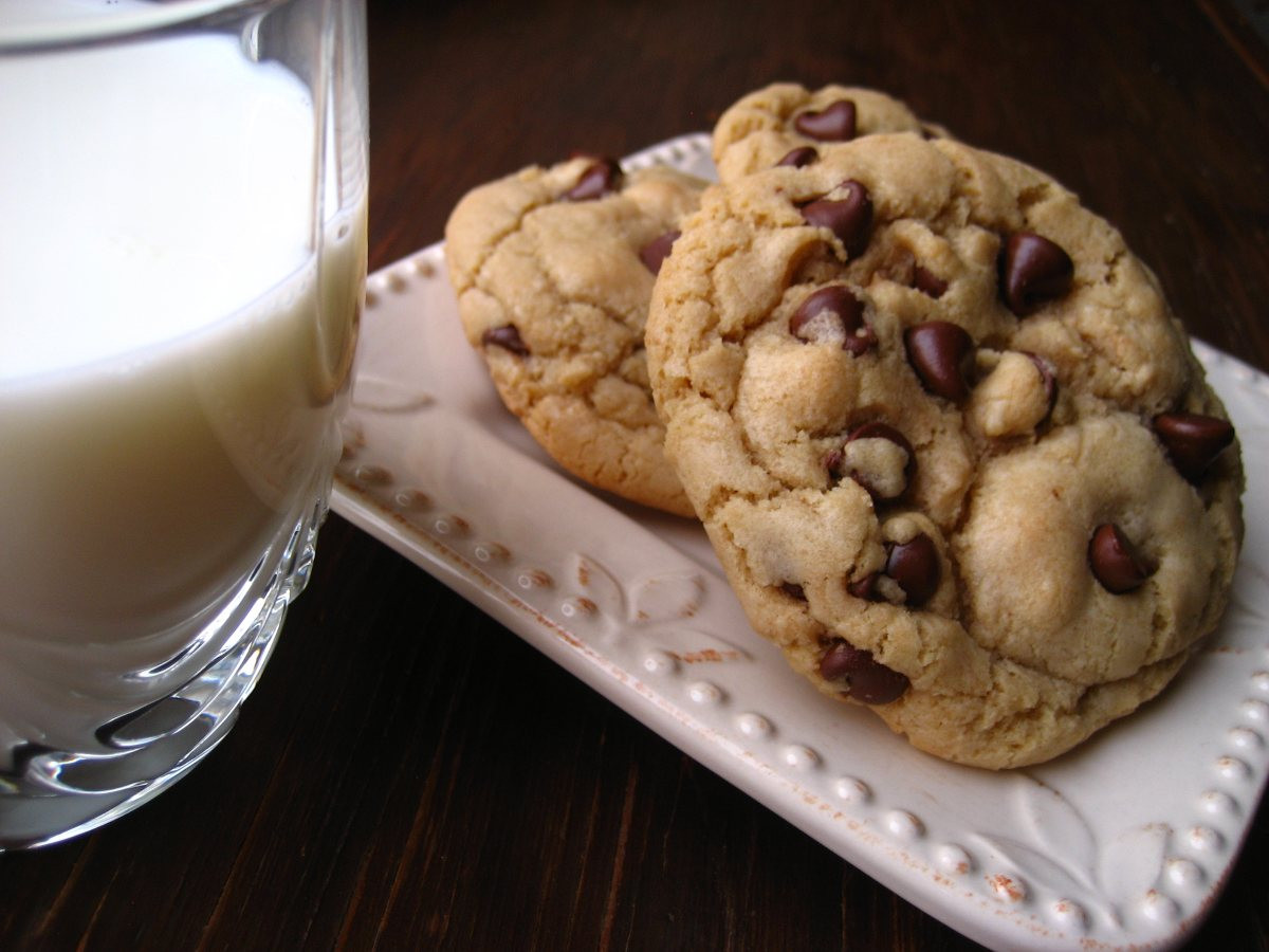 Big Fat Chewy Chocolate Chip Cookies
 Big Fat Chewy Chocolate Chip Cookies