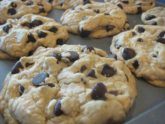 Big Fat Chewy Chocolate Chip Cookies
 Best Big Fat Chewy Chocolate Chip Cookie Recipe — Dishmaps