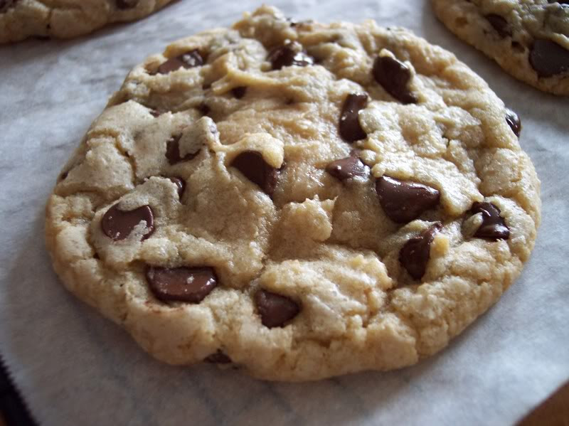 Big Fat Chewy Chocolate Chip Cookies
 Big Chewy Chocolate Chip Cookies