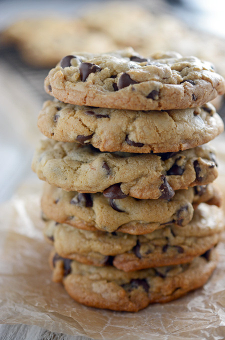 Big Fat Chewy Chocolate Chip Cookies
 Best Big Fat Chewy Chocolate Chip Cookie