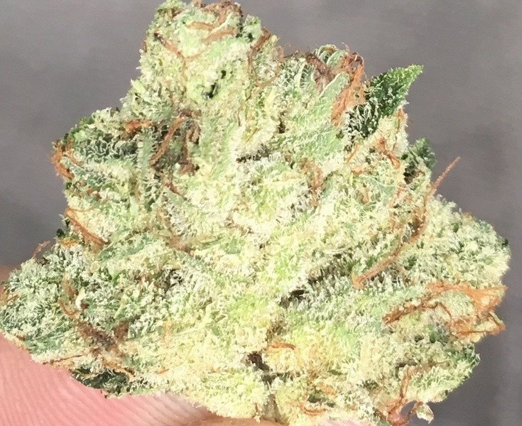 Birthday Cake Kush
 Birthday Cake Kush Marijuana Strain Reviews