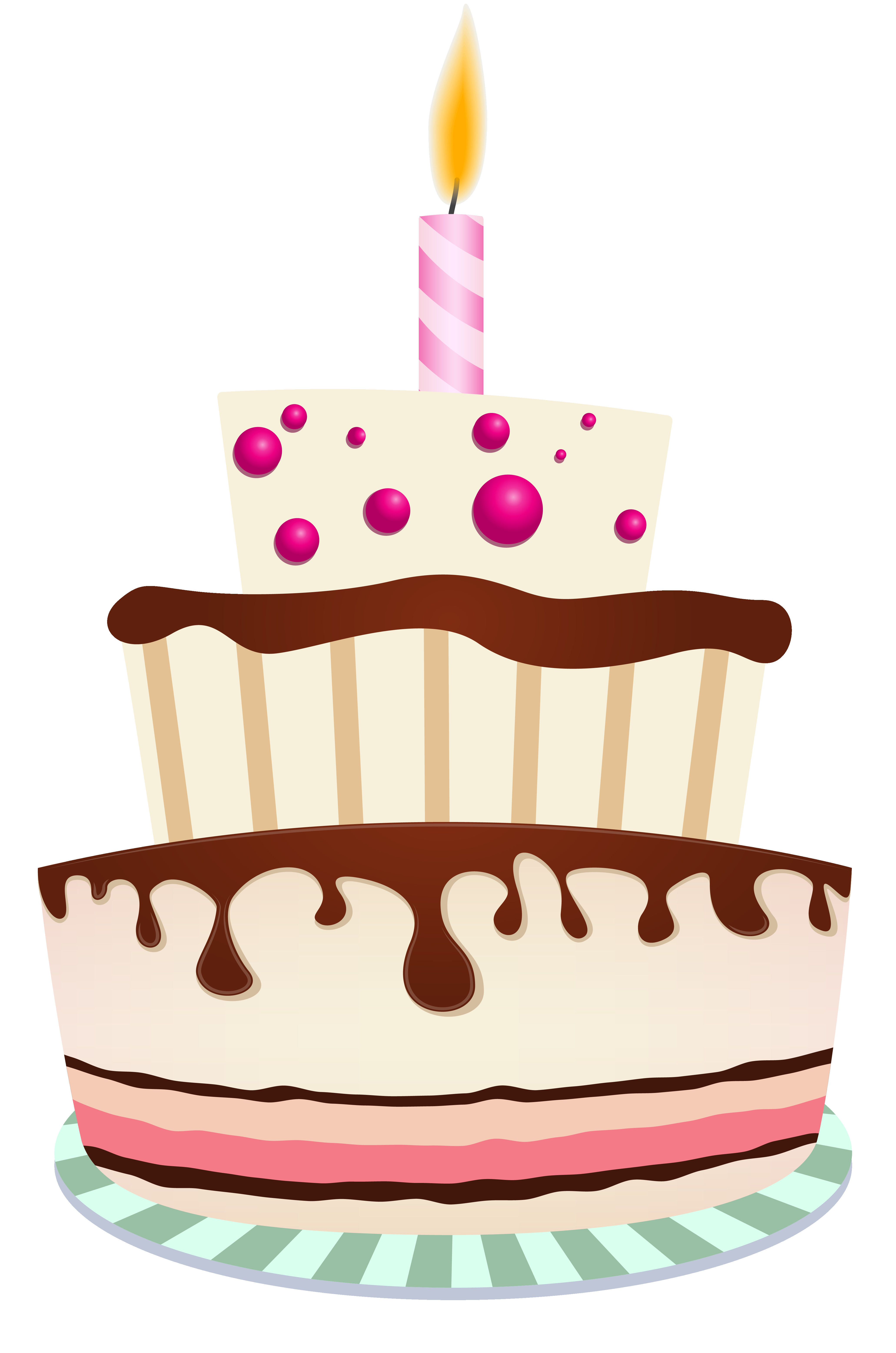 Birthday Cake Png
 Birthday Cake with e Candle PNG Clipart Image