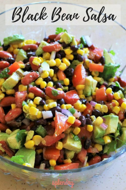 Black Bean Salsa Recipe
 black bean salsa recipe easy