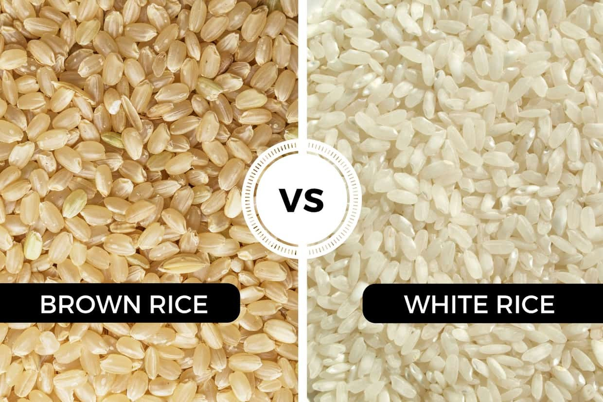 Black Rice Vs Brown Rice
 brown jasmine rice vs brown rice