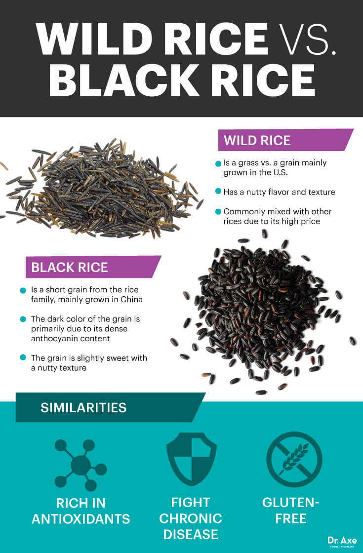 Black Rice Vs Brown Rice
 black rice nutrition