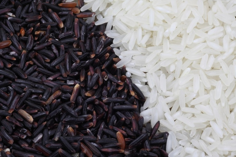 Black Rice Vs Brown Rice
 black rice health benefits