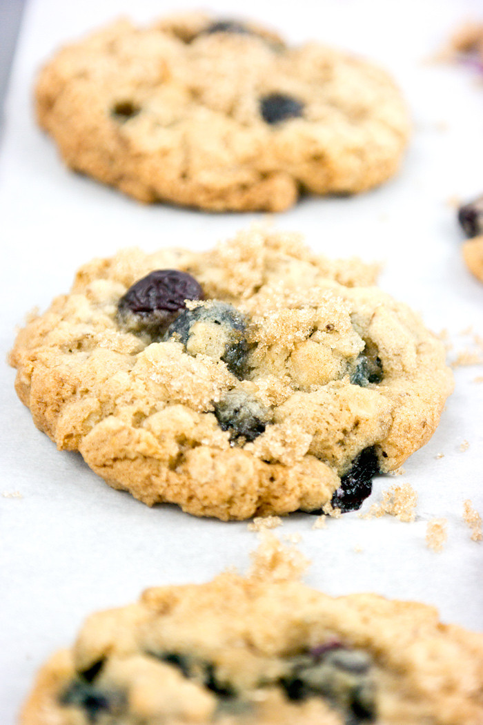 Blueberry Oatmeal Cookies
 Fresh Blueberry Oatmeal Cookies