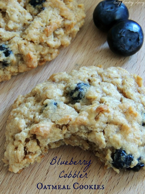 Blueberry Oatmeal Cookies
 Blueberry Cobbler Oatmeal Cookies