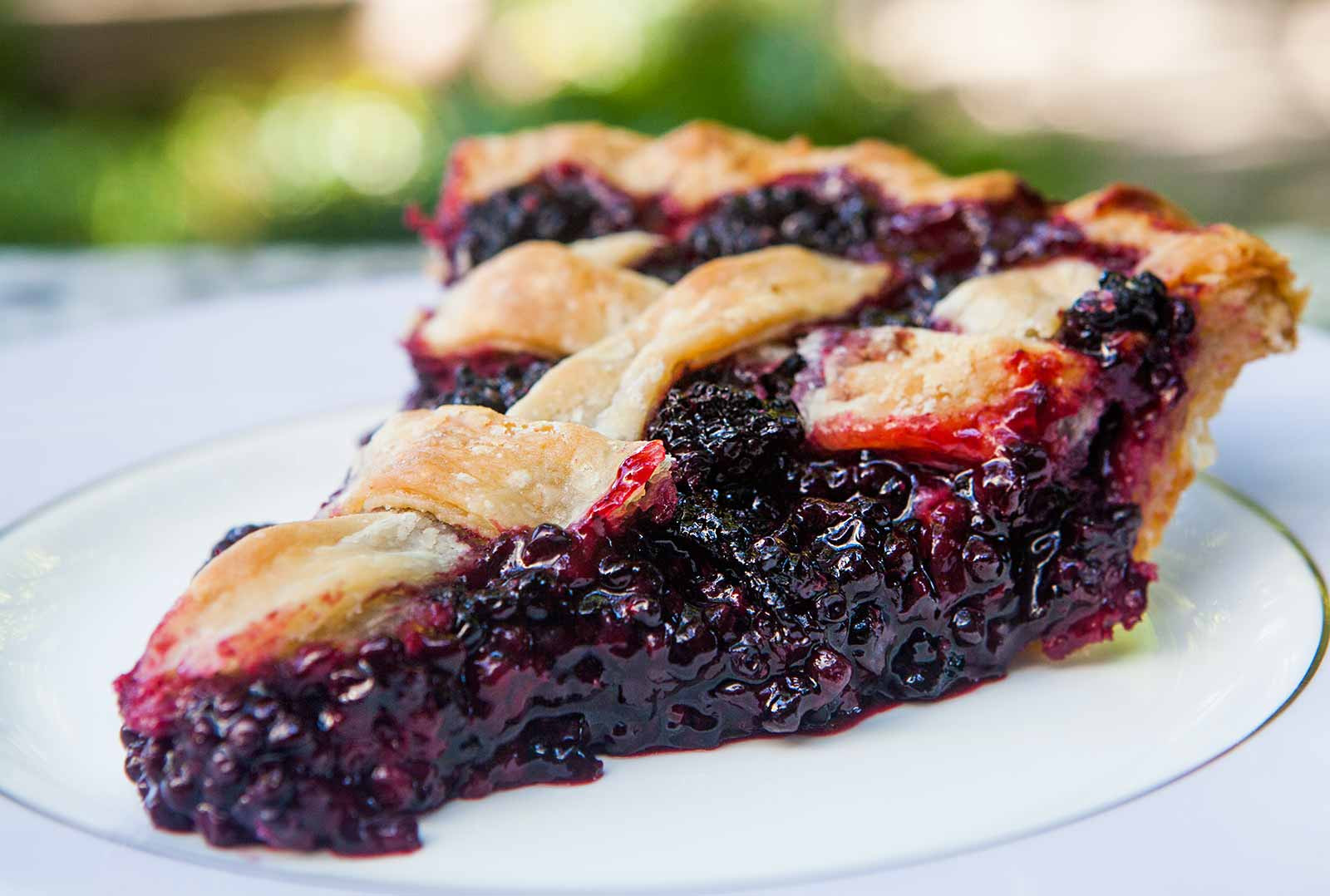 Blueberry Pie Recipes
 Blackberry Pie Recipe