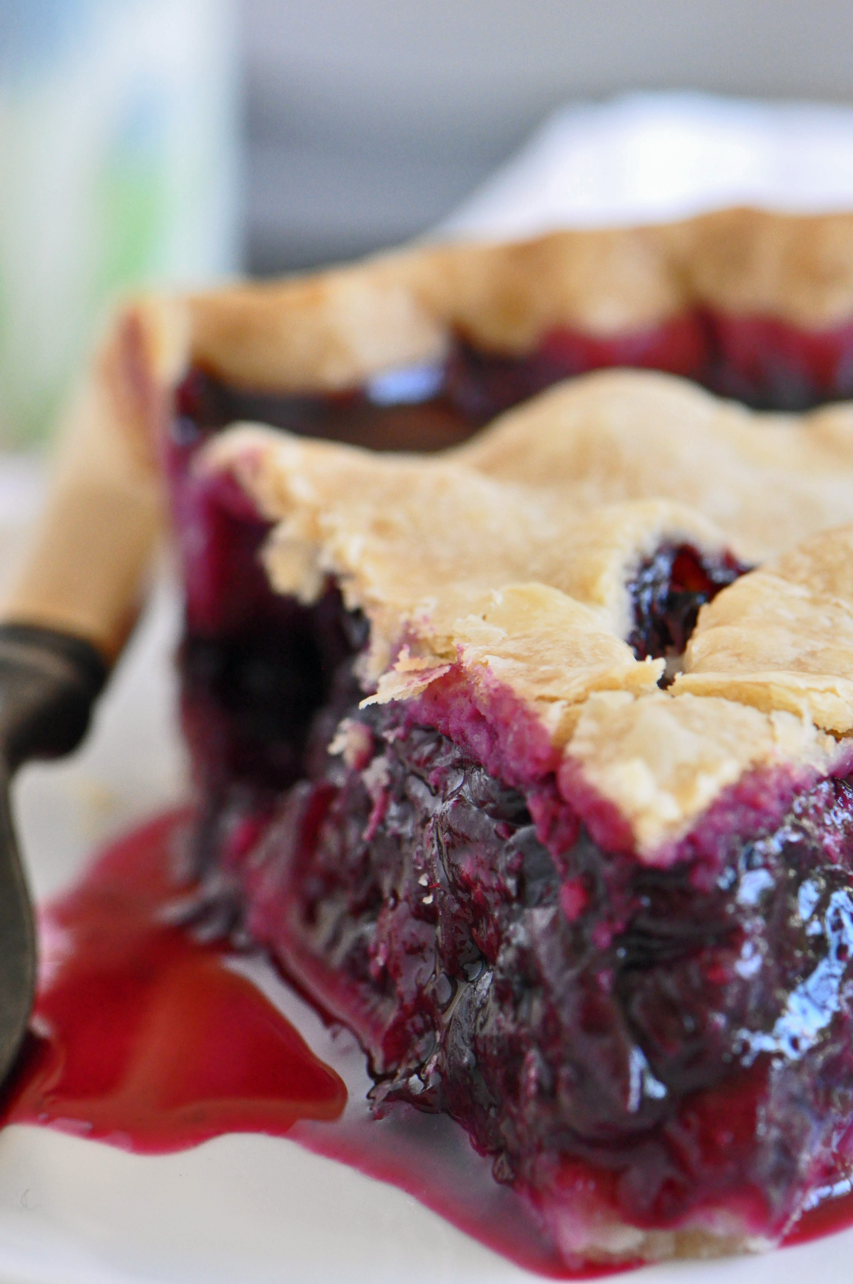 Blueberry Pie Recipes
 Blueberry Pie Recipe