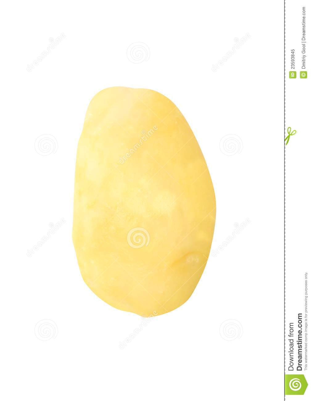 Boiled Potato Nutrition
 Boiled potato stock image Image of nutrition market