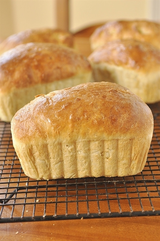 Bread In A Bag Recipe
 Bread in a Bag your homebased mom