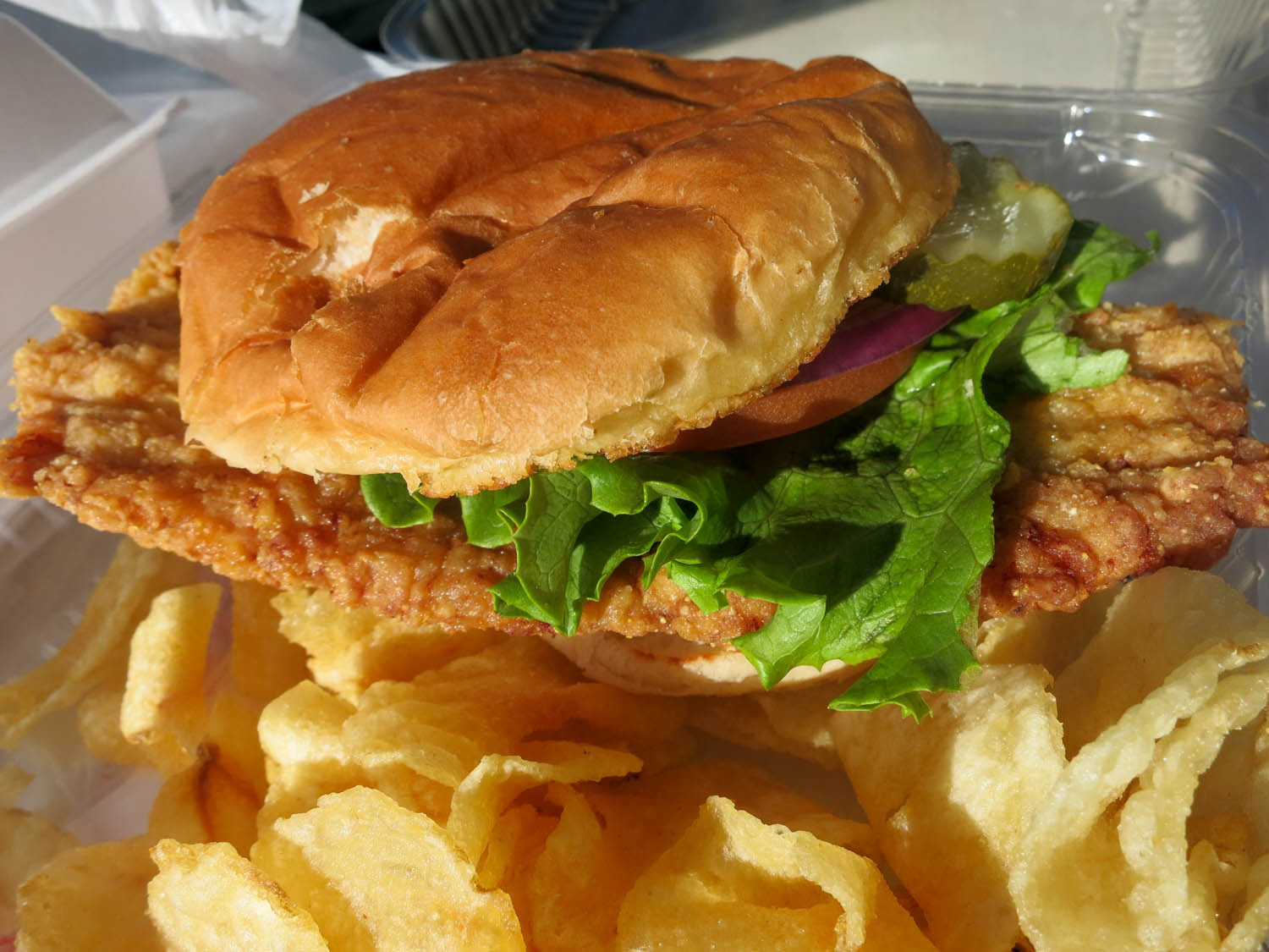 Breaded Pork Tenderloin
 The Best Breaded Pork Tenderloin Sandwiches in the Midwest