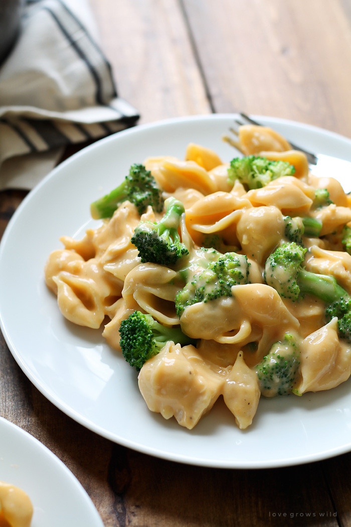 Broccoli Cheddar Chicken
 Chicken and Broccoli Shells and Cheese Love Grows Wild