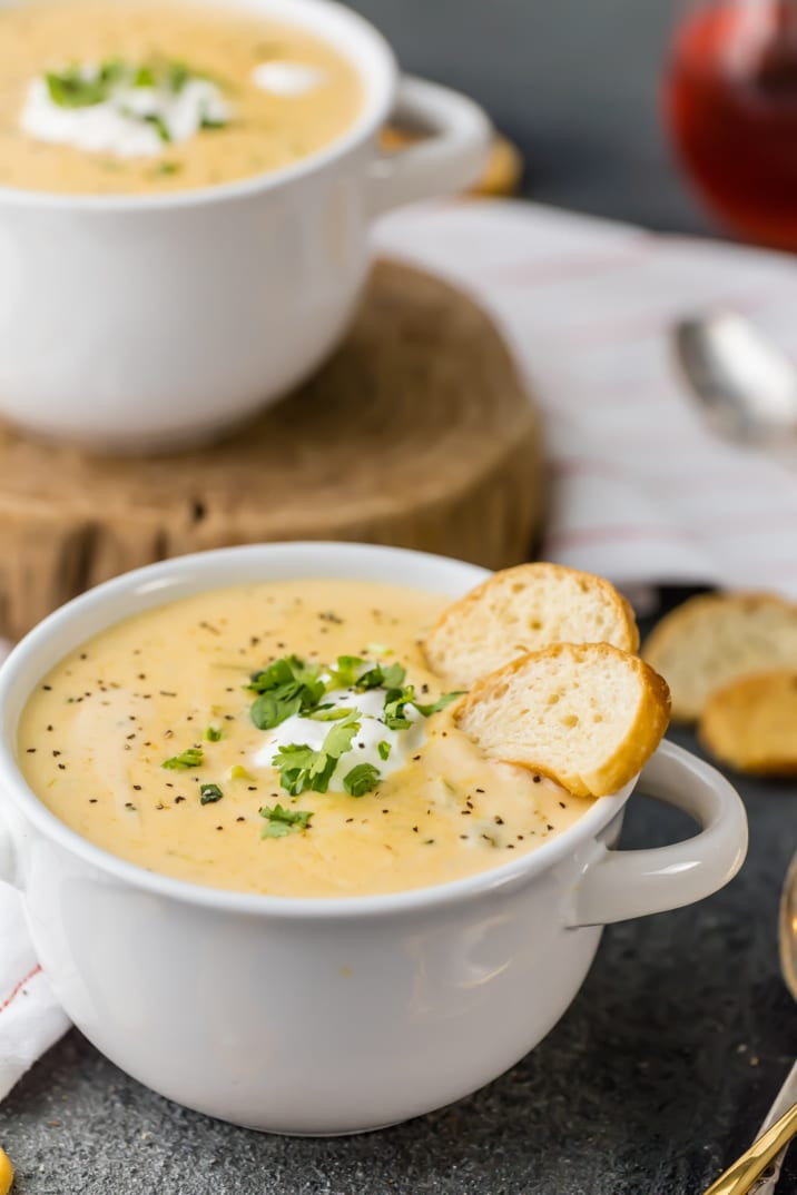 Broccoli Cheese Soup Recipe
 Crockpot Broccoli Cheese Soup Recipe The Cookie Rookie