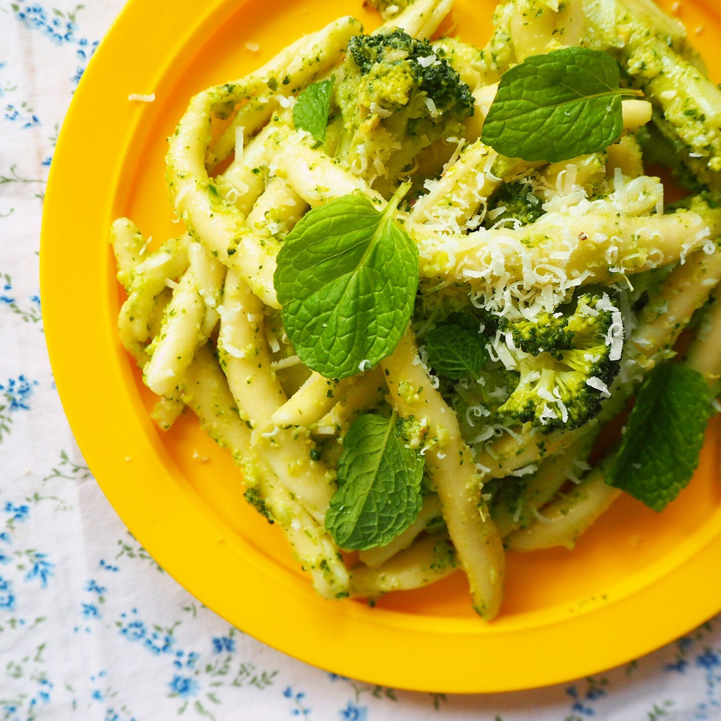 Broccoli Pesto Pasta
 pasta with broccoli pesto my lovely little lunch box