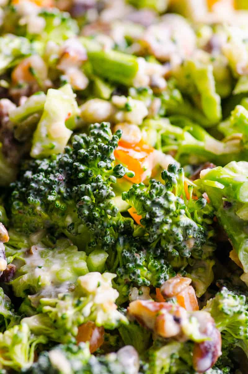 Broccoli Salad Healthy
 Healthy Broccoli Salad iFOODreal Healthy Family Recipes