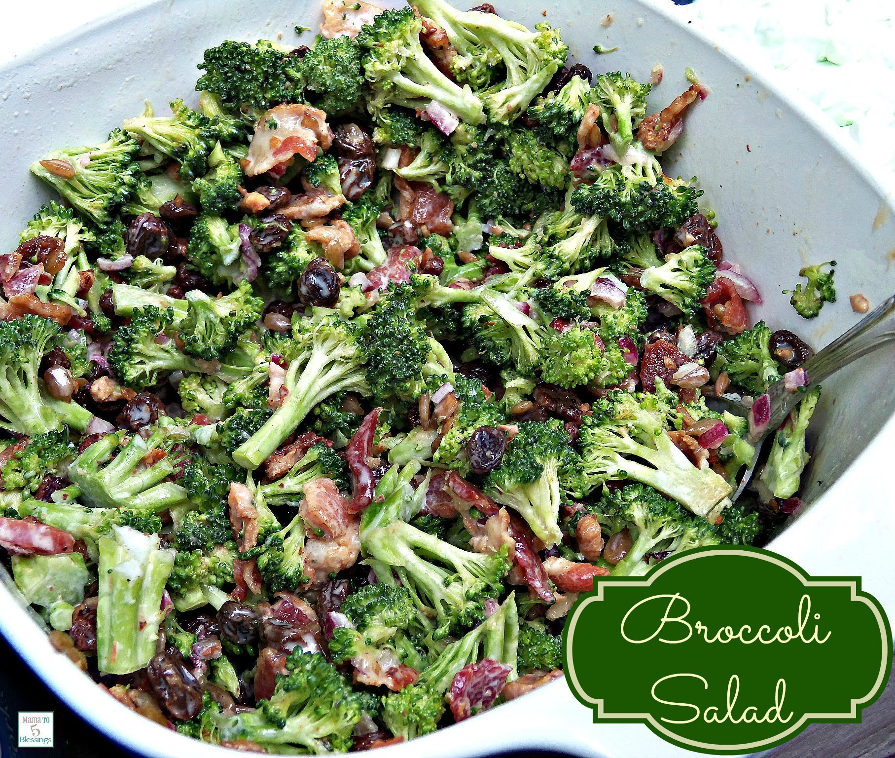 Broccoli Salad Recipes
 Easy Peasy Broccoli Salad Recipe
