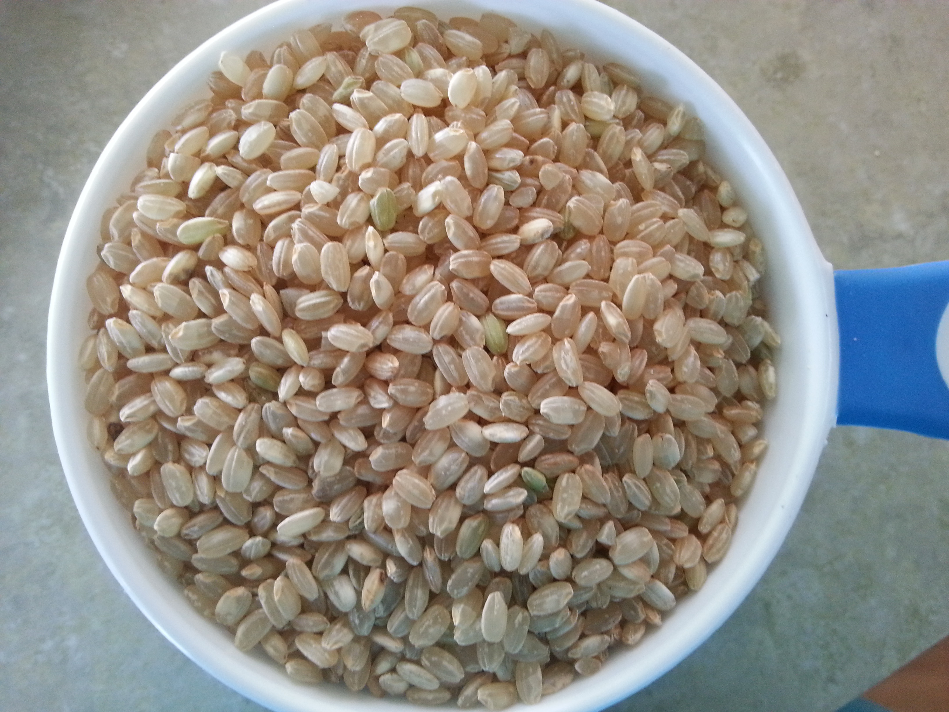 Brown Rice Water Ratio
 Short grain brown rice to water ratio in rice cooker