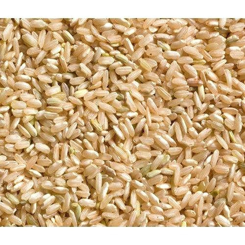 Brown Rice Water Ratio
 Water To Rice Ratio For Rice Cooker Water Ionizer