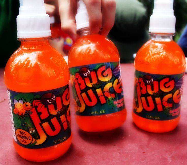 Bug Juice Drink
 25 best ideas about Bug Juice on Pinterest