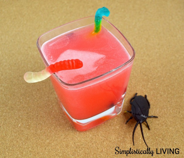 Bug Juice Drink
 Homemade Bug Juice Simplistically Living