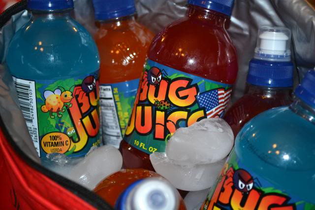 Bug Juice Drink
 Post family Disney theme night ideas HERE