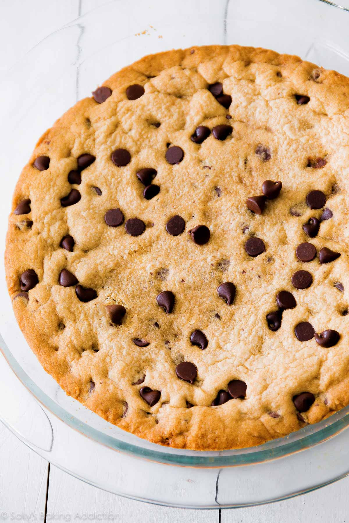 Cake Cookie Recipe
 Chocolate Chip Cookie Cake Sallys Baking Addiction