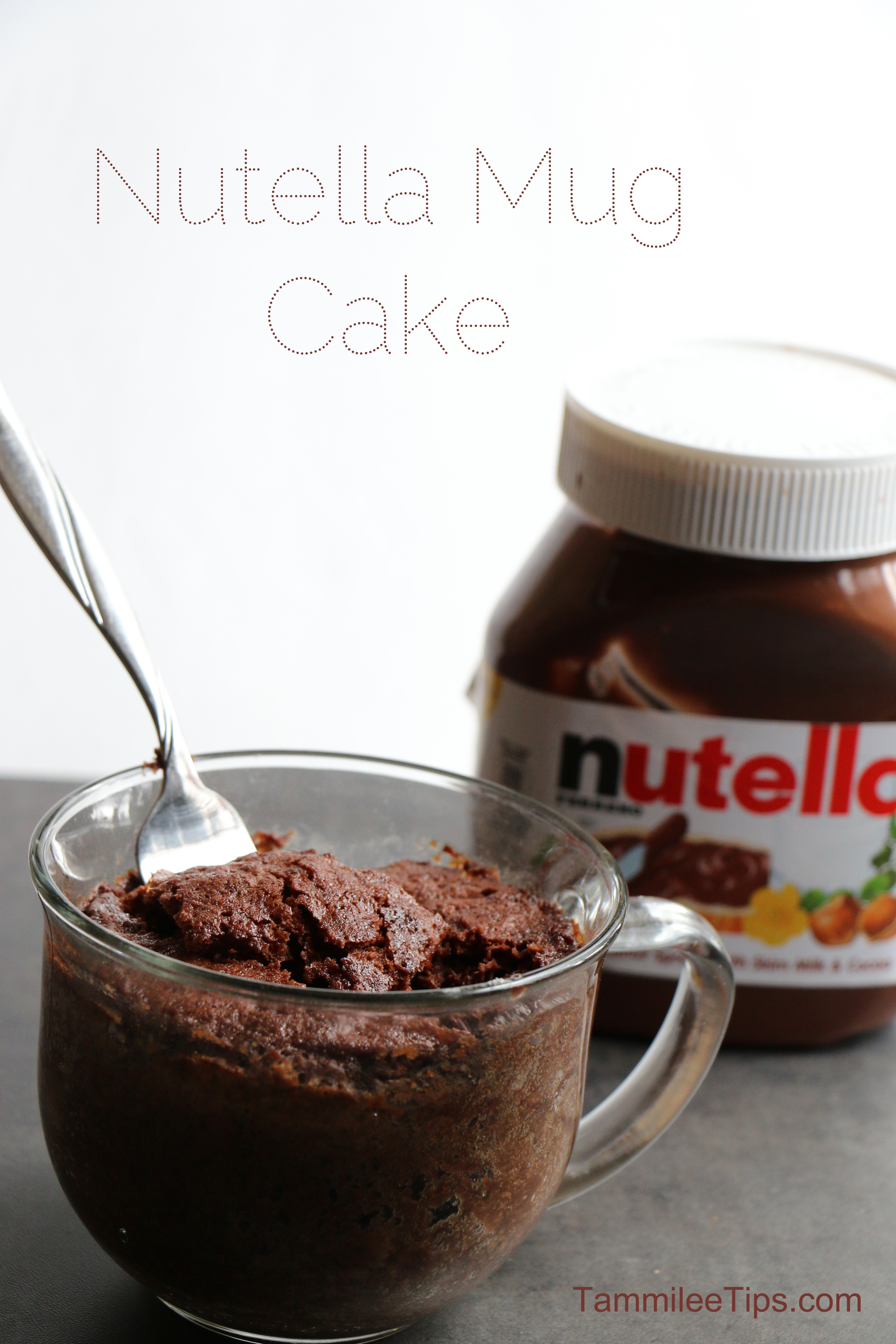 Cake In A Mug Recipe
 Super easy to make Nutella Mug Cake Recipe
