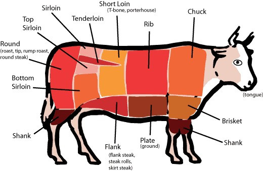 Calories In 1 Lb Ground Beef
 Calories in Ground Beef – Is Ground Beef a Healthy Choice