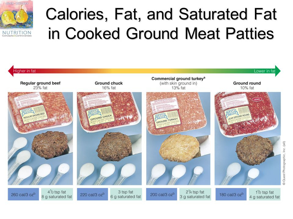 Calories In A Pound Of Ground Beef
 Chapter 5 The Lipids Fats Oils Phospholipids and