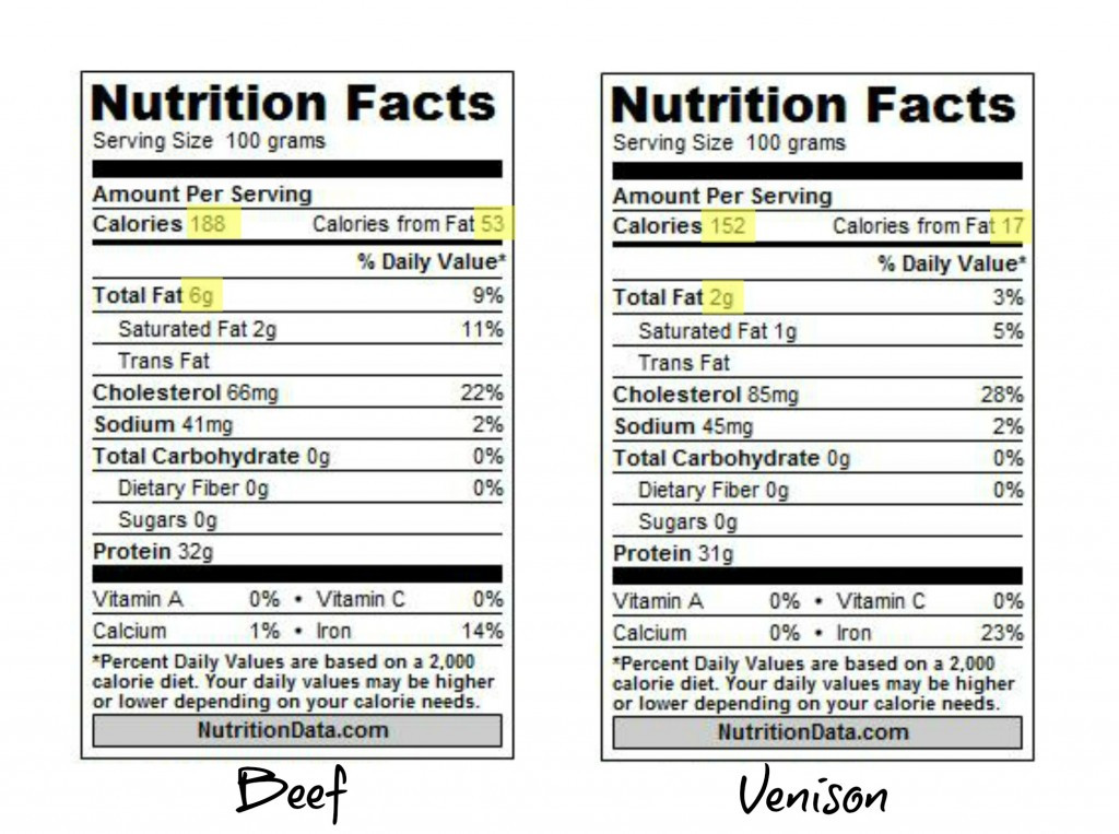 Calories In A Pound Of Ground Beef
 ground venison protein