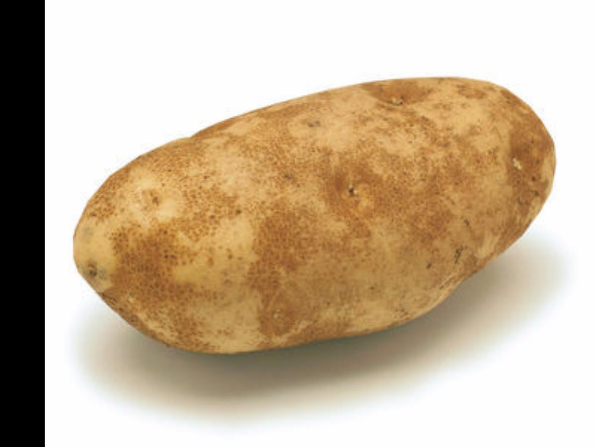 Calories In A Russet Potato
 Russet potatoes Nutrition Information Eat This Much