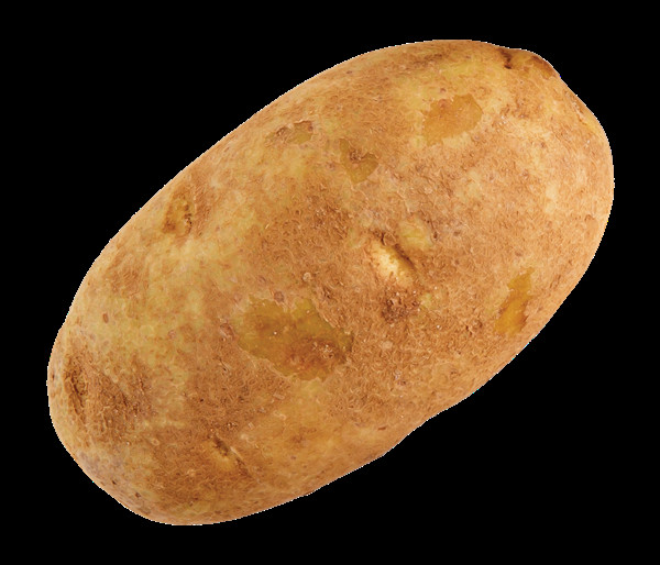 Calories In A Russet Potato
 Russet Potato