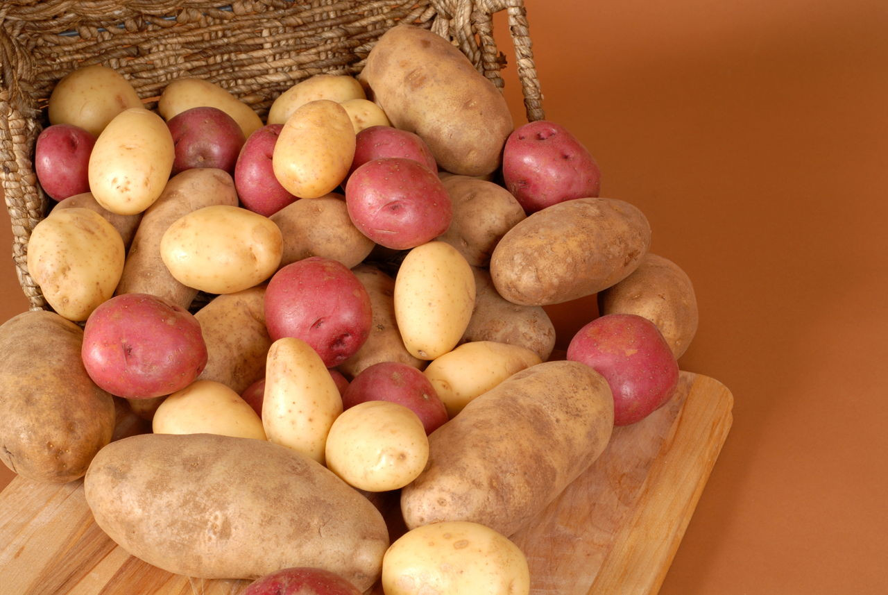 Calories In A Russet Potato
 Calories in a Russet Potato