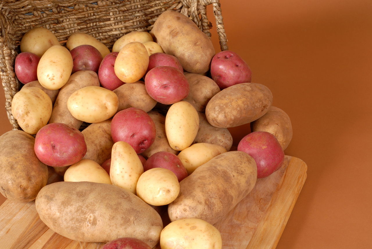 The Best Ideas for Calories In A Russet Potato - Best Recipes Ever