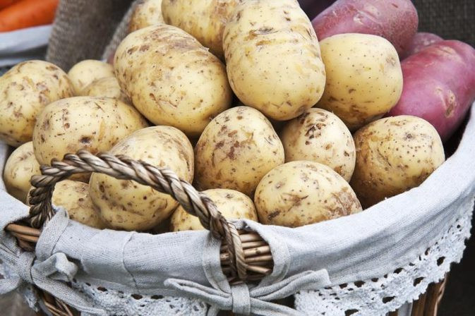 Calories In A Russet Potato
 Nutritional Differences Between Russet & Red Potatoes