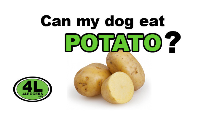 Can Dogs Eat Mashed Potatoes
 Can dogs eat potato 4leggers