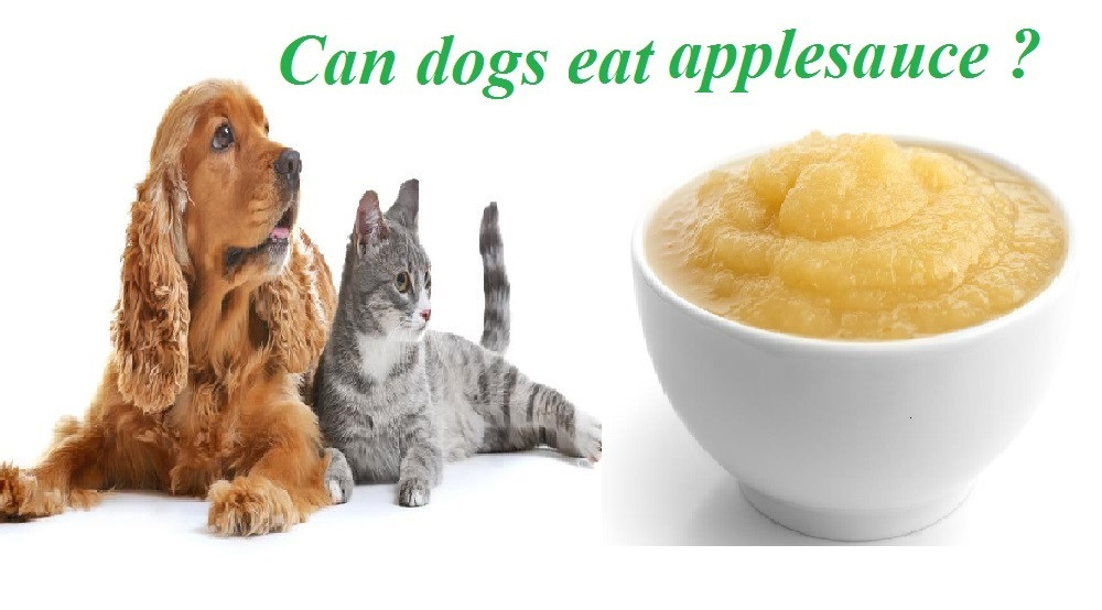 Can Dogs Have Applesauce
 Can Dogs Eat Applesauce Safely Every day Dog Carion