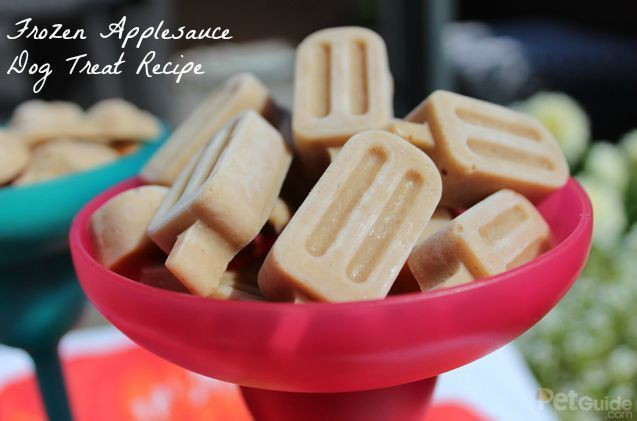 Can Dogs Have Applesauce
 Frozen Applesauce Dog Treat Recipe