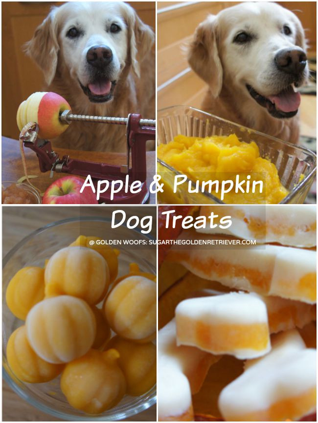 Can Dogs Have Applesauce
 Apples Archives Golden Woofs
